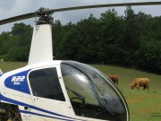 Novozéladská farma pri Piešťanoch: Dva vrtuľníky Robinson R-22